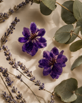 Purple Larkspur Real Flower Handcrafted Resin Earrings